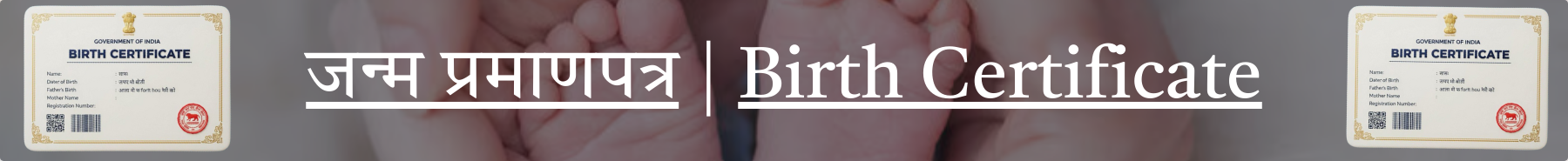 Inner Banner of Consumer Affairs