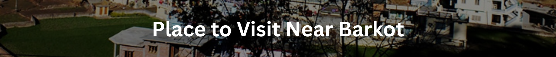 Inner Banner of Consumer Affairs