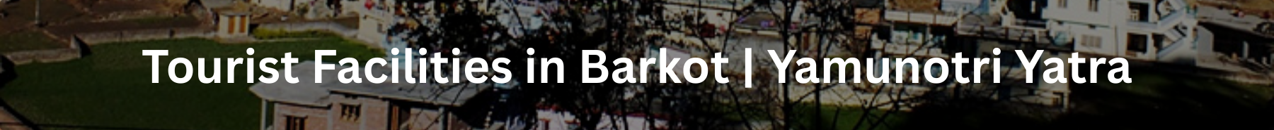 Inner Banner of Consumer Affairs